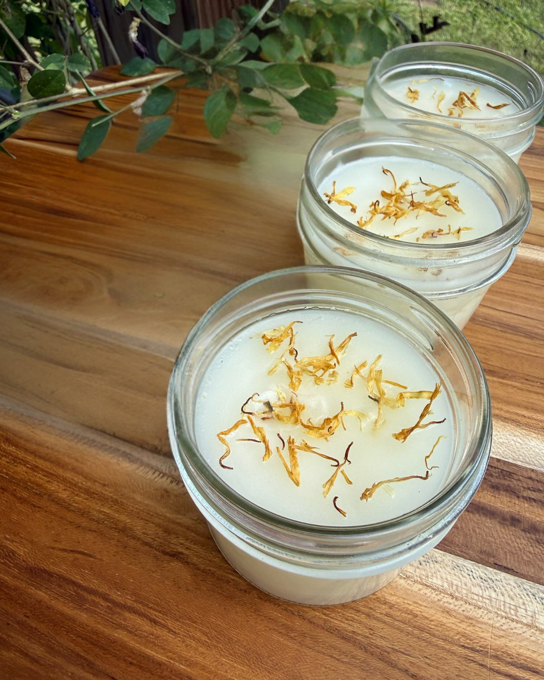 Calendula Beeswax Salve