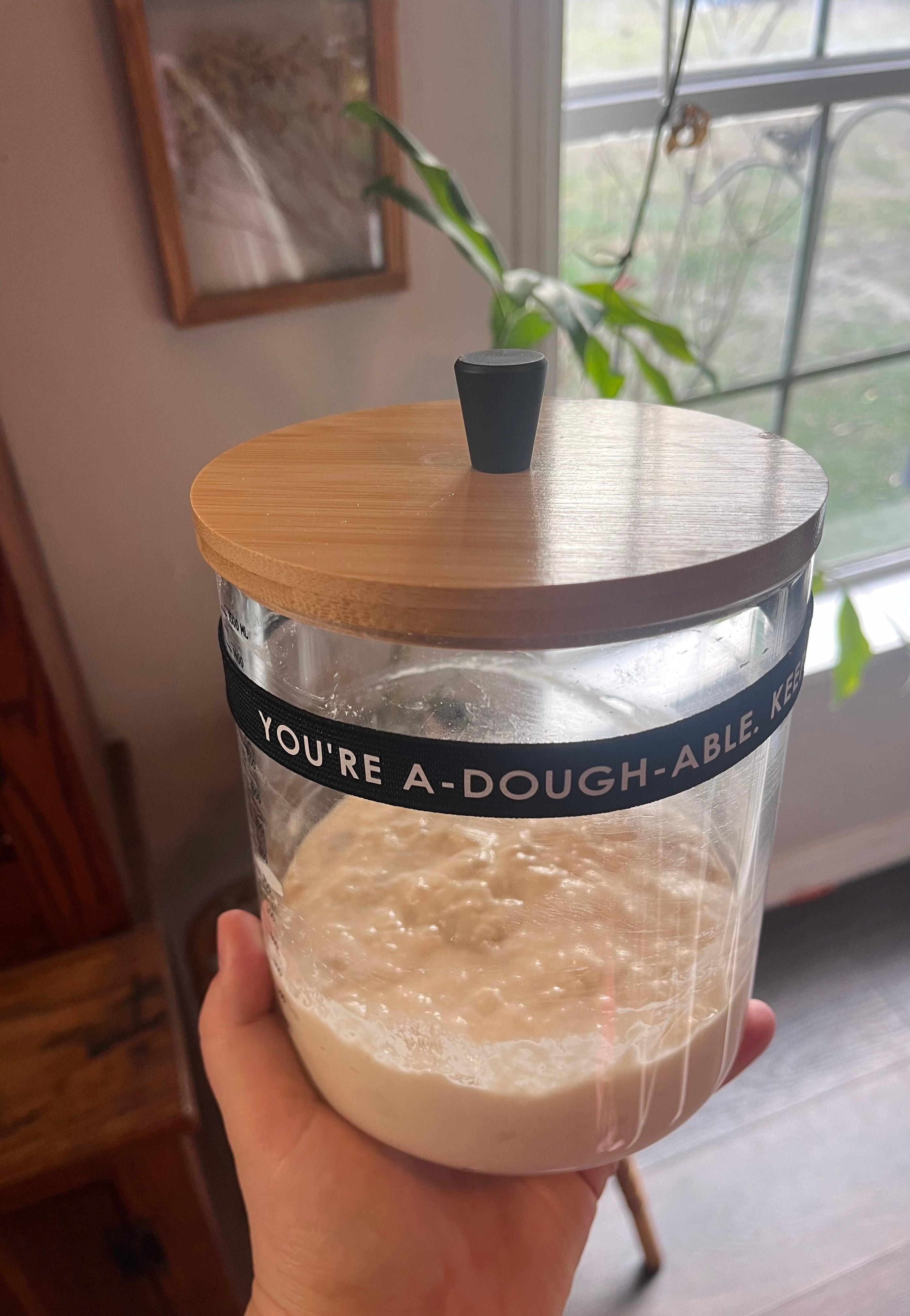 Dehydrated Sourdough Starter (1 Tbsp)