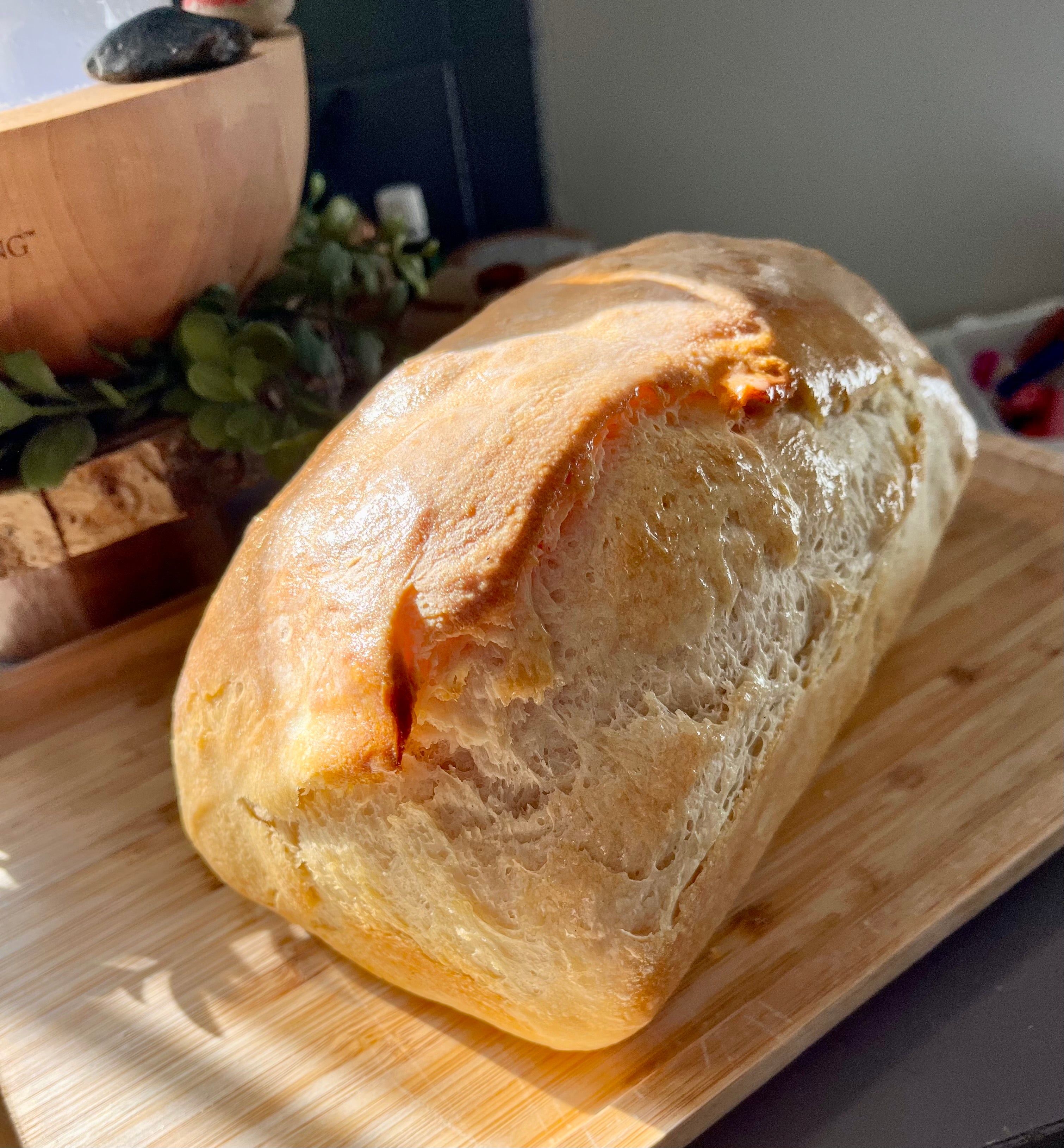 Dehydrated Sourdough Starter (1 Tbsp)