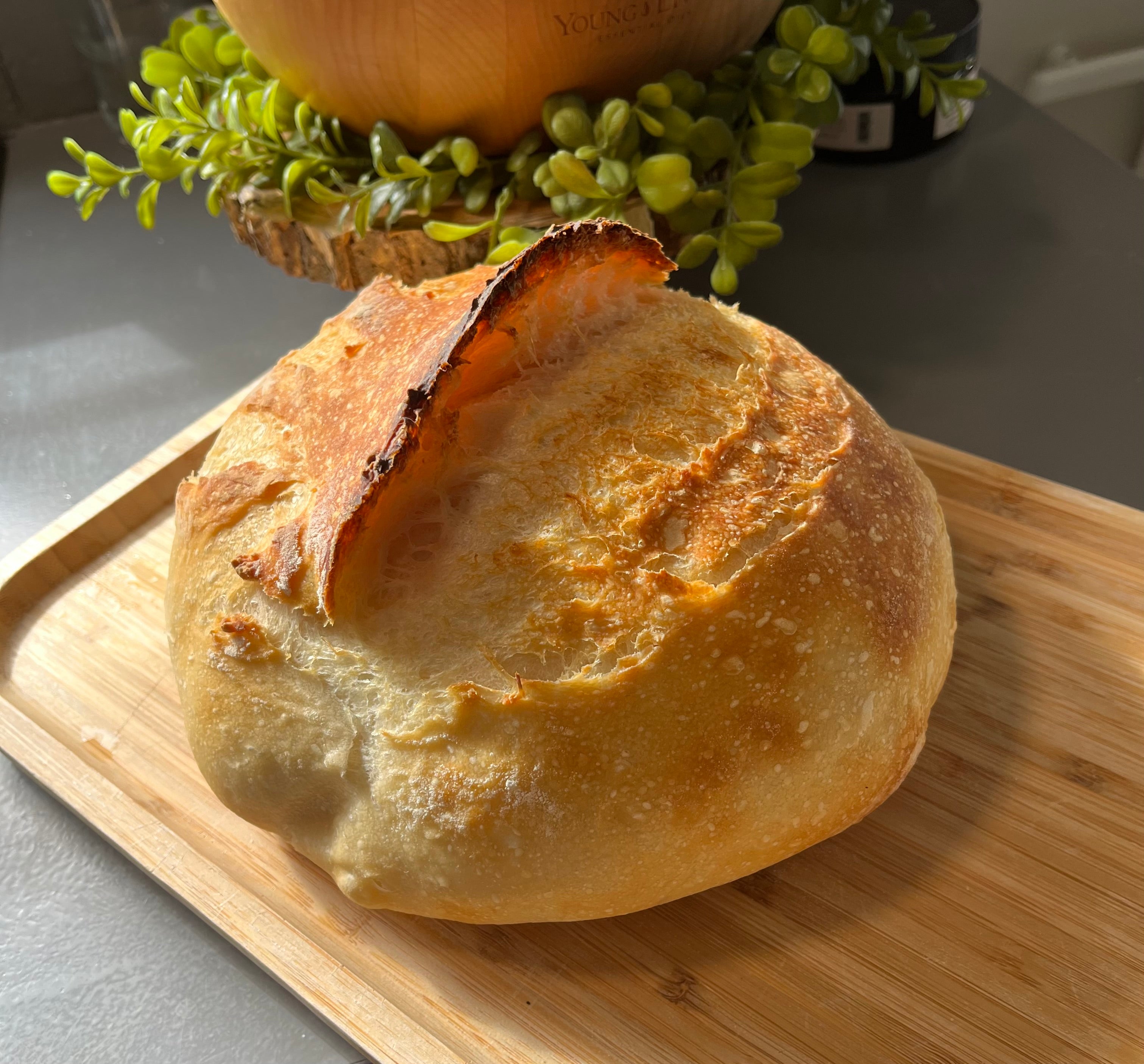 Dehydrated Sourdough Starter (1 Tbsp)