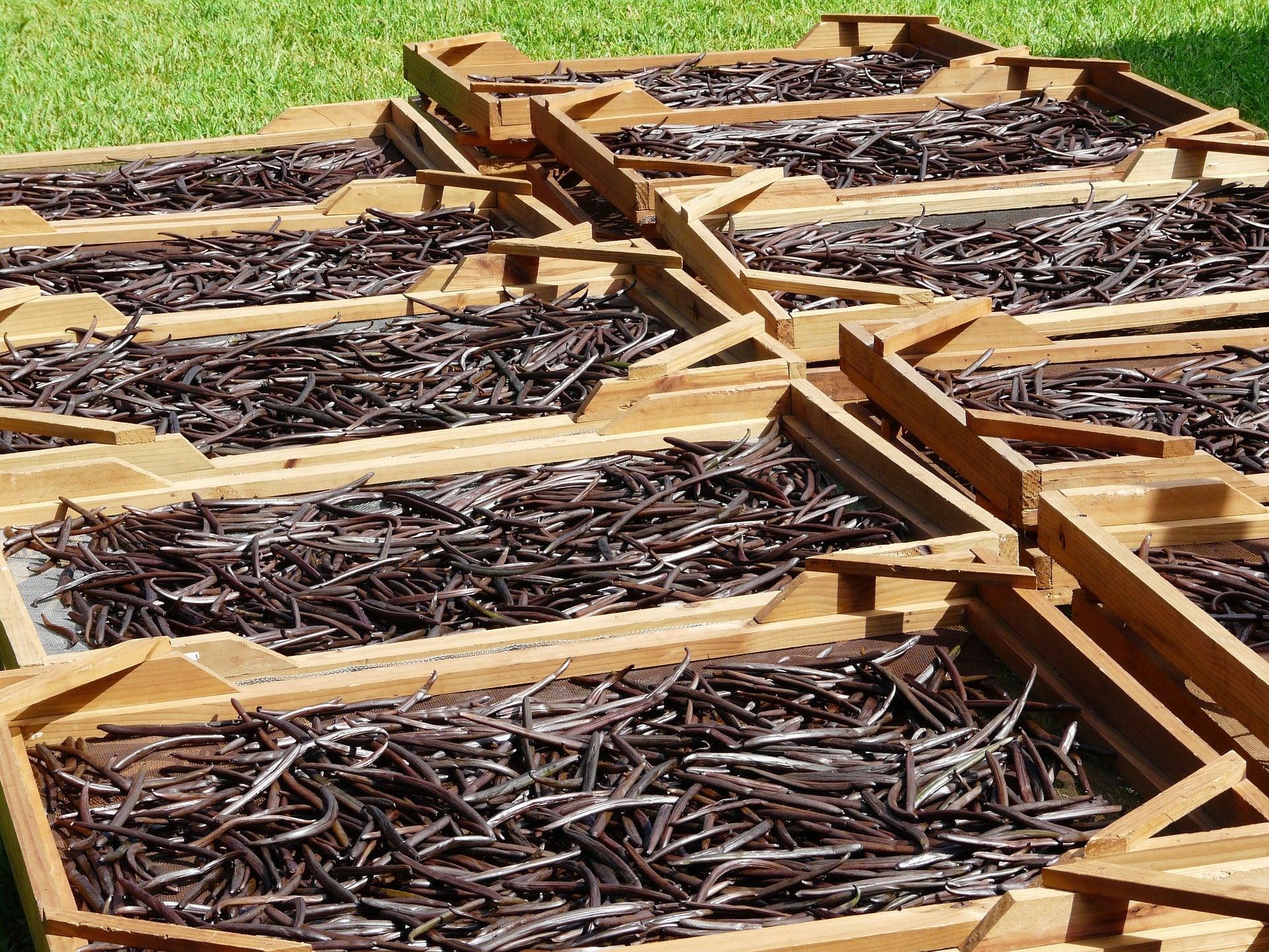 Gourmet Madagascar Vanilla Beans - Valhalla Farms West Florida LLC