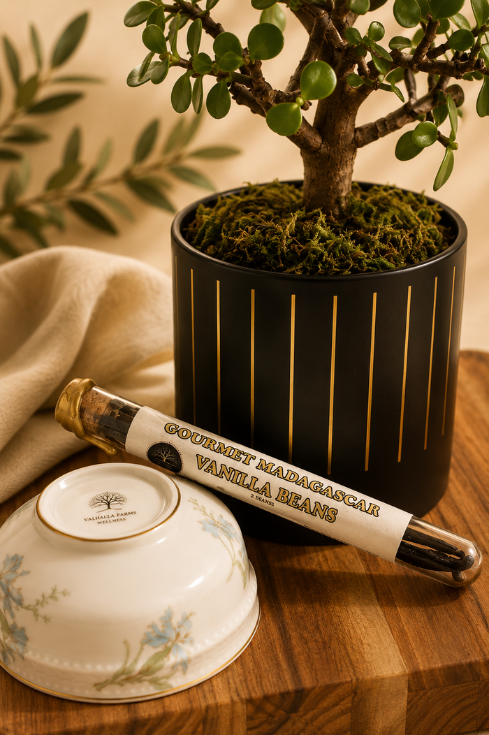 Gourmet Grade A Madagascar vanilla beans in a glass vial beside a Valhalla Farms bowl — Valhalla Farms