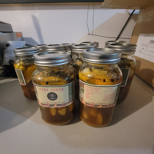 Fire Cider Class