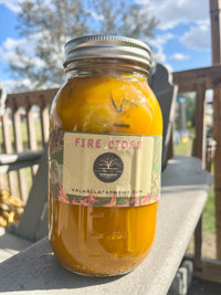 Fire Cider Class