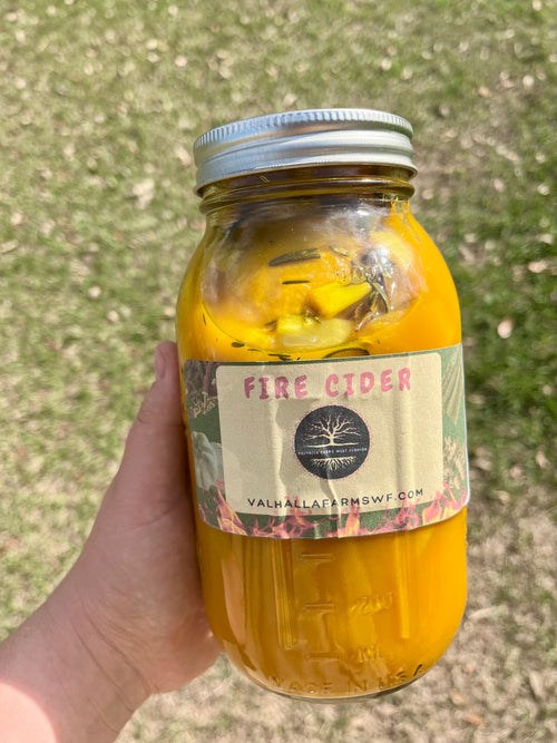 Fire Cider Class