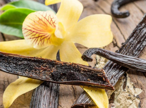 Gourmet Madagascar Vanilla Beans - Valhalla Farms West Florida LLC 