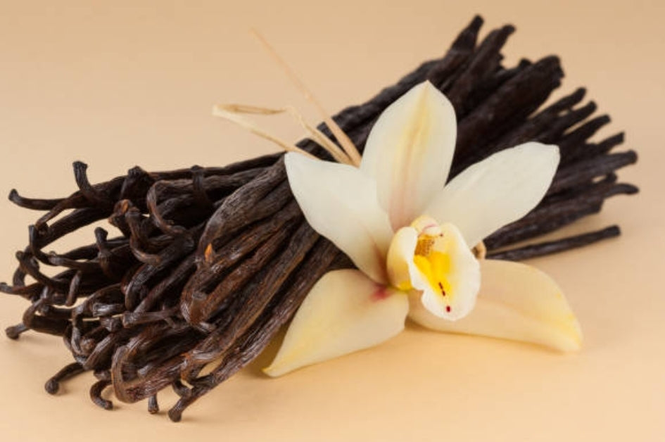 Pure Madagascar Vanilla Extract